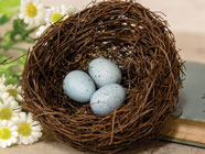 Bird & Nest Decor