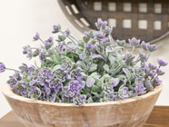 Saybrook Lane Florals