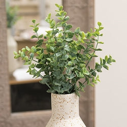 Dusty MIni Eucalyptus Bush- 13"