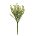 Yellow, White, and Red Astilbe Bush, 10.5"