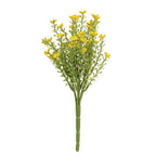 Yellow, White, and Red Astilbe Bush, 10.5"
