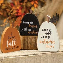 3/Set Rustic Fall Words Pumpkin Blocks