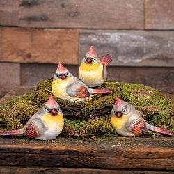 Resin Female Cardinal 4 Asstd.
