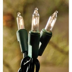 Light Set Green Cord 10ct