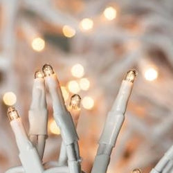 Twinkle Teeny Lights  White Cord 140 ct
