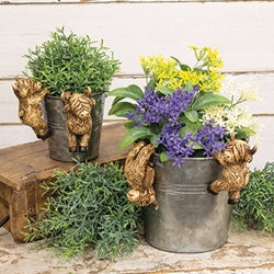 Resin Highland Planter Hanger - 4 Asstd.