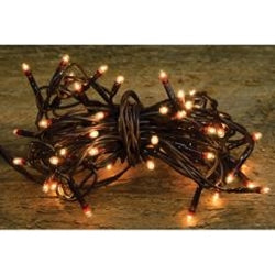 Teeny Lights, Brown Cord, 50ct